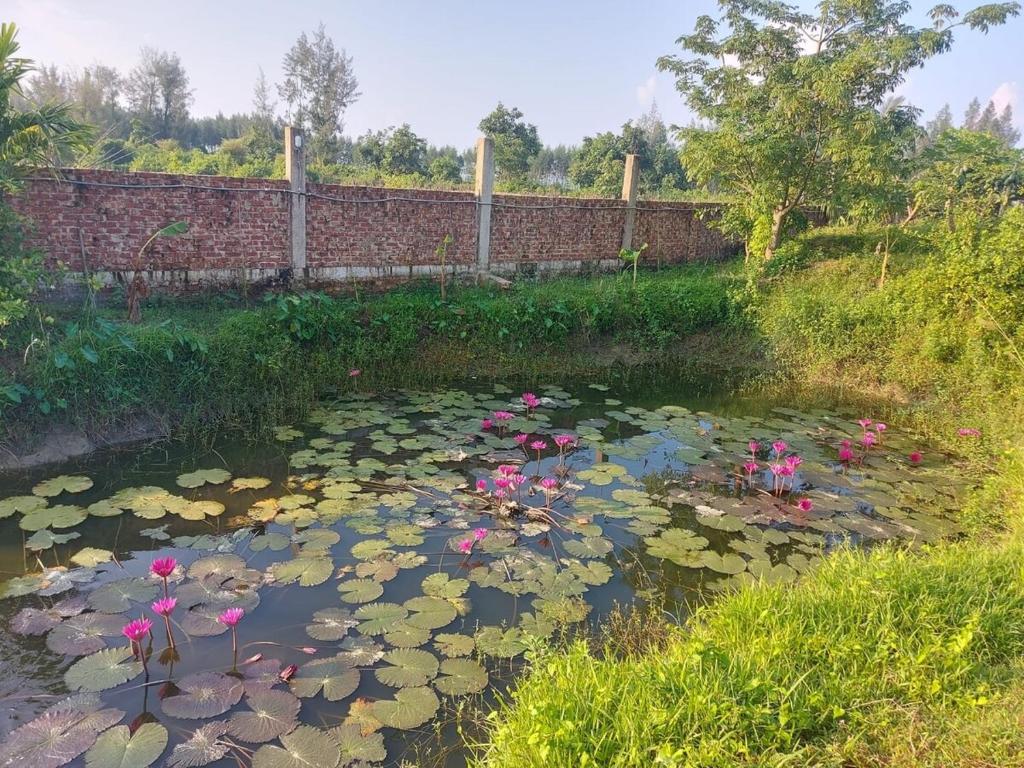 Pothik Beach Resort photo 4