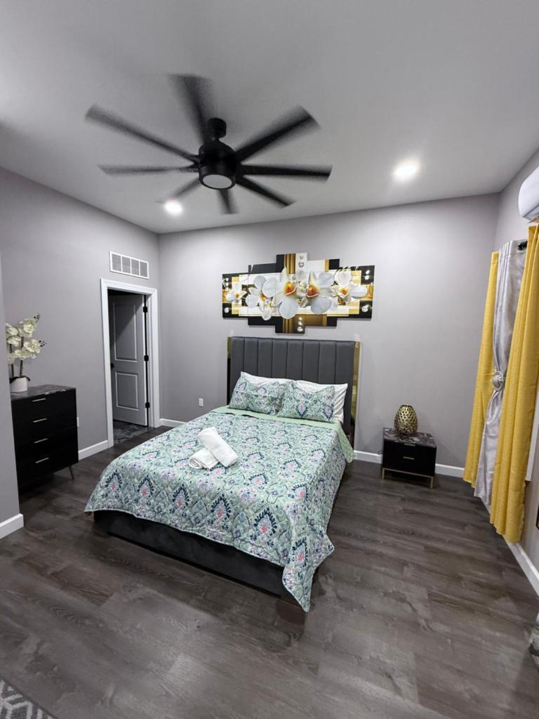 The palm suite image