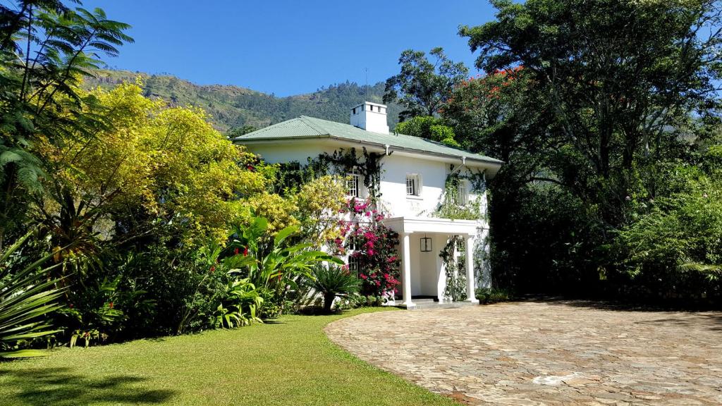 The Planters House photo 1