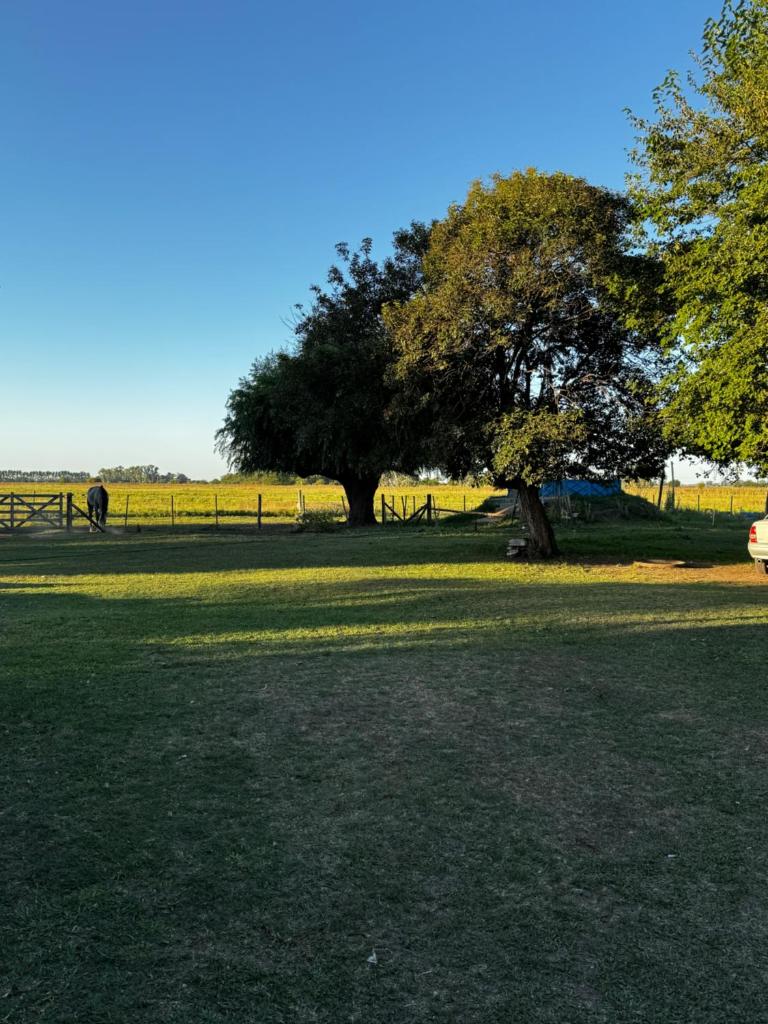 La victoria ranch horse photo 1