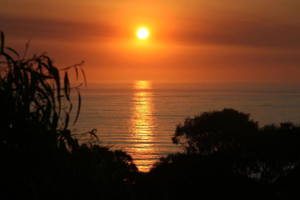 Great Ocean Road Sunrises