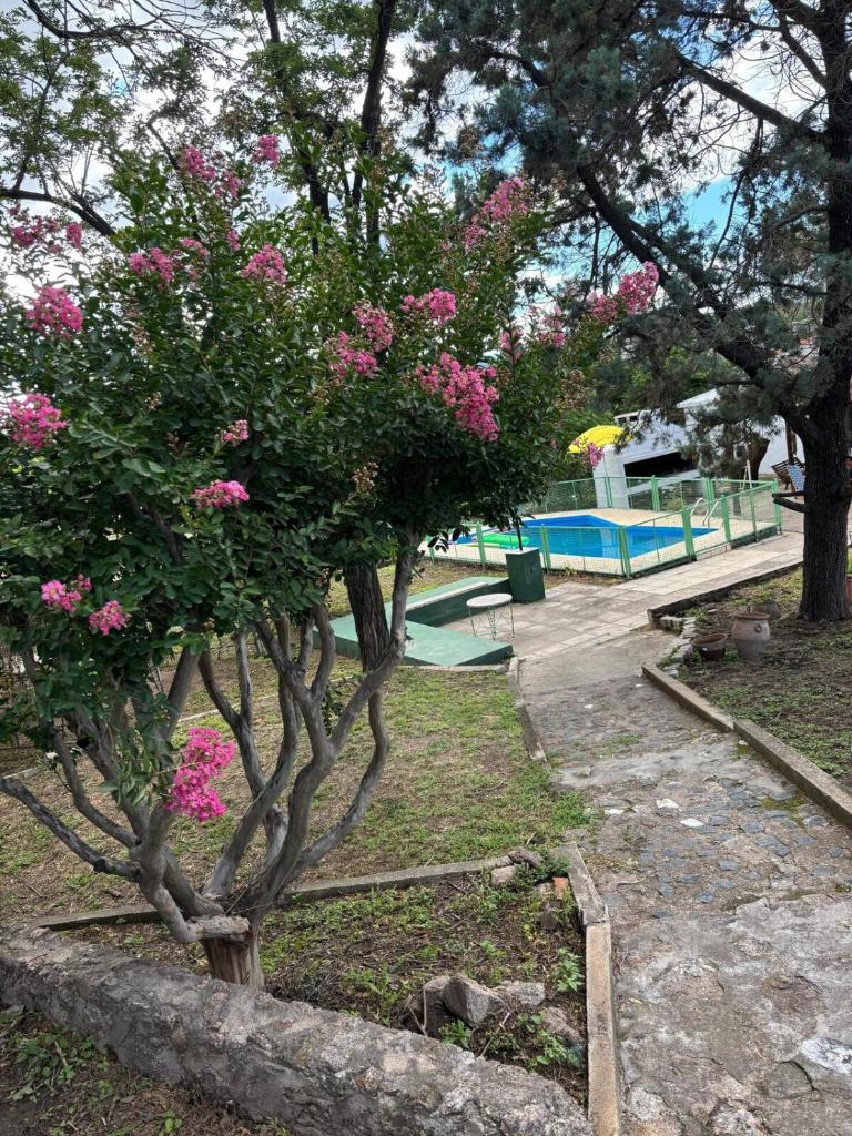 Refugio de Nestor photo 1