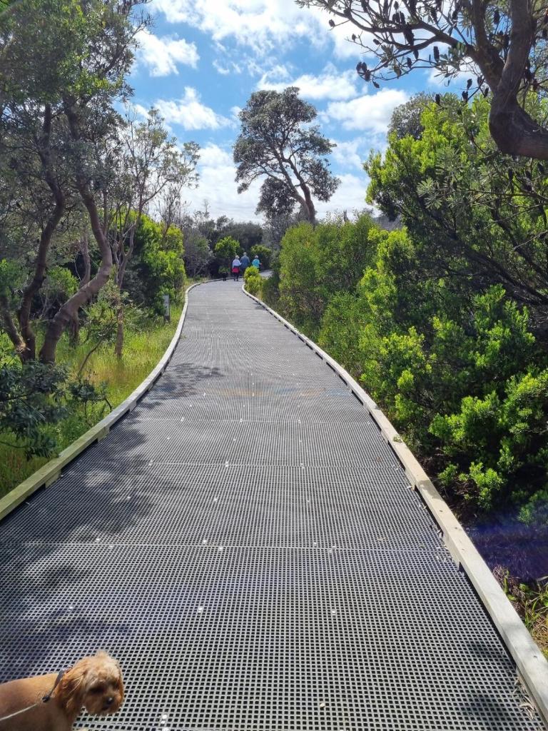 Boardwalk by the Bay photo 3