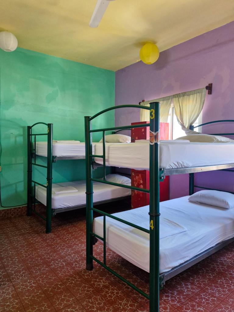 Casa Kraken Hostel Room Type - Single Bed in Female Dormitory Room