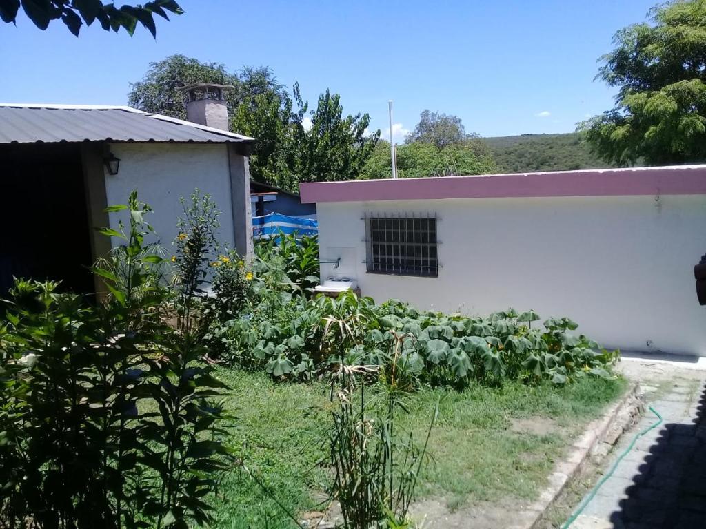 Departamento MGS photo 4