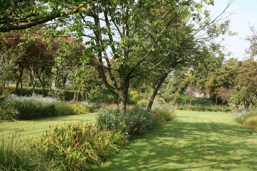 B&B van Dinter photo 4