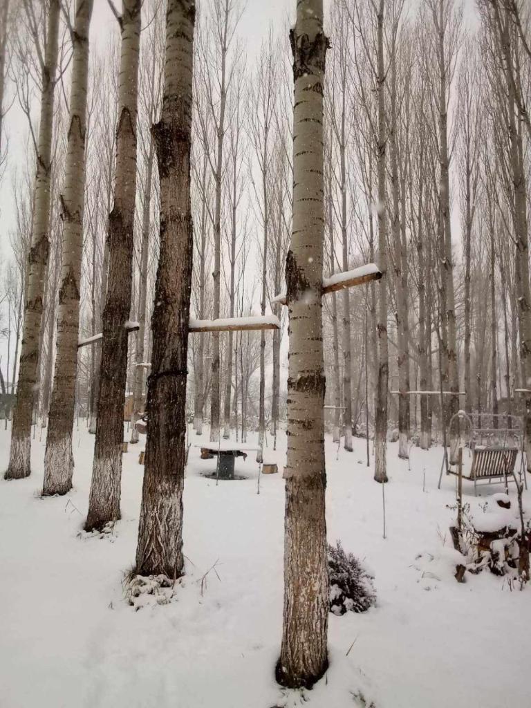 Edem A Frame Zovaber photo 2