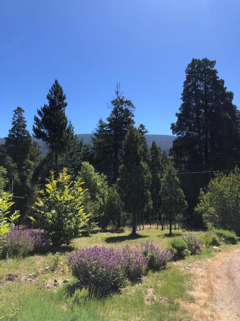 Refugio Medio Camping y Hostel photo 1