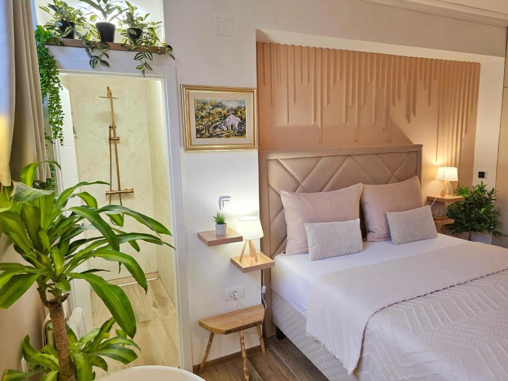 Studio Afrodita Room Type - One-Bedroom Apartment