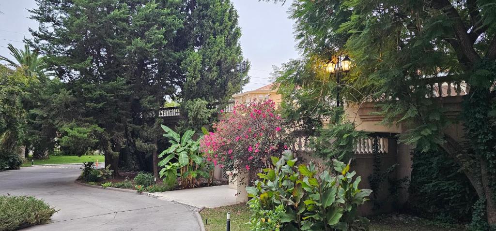 por mes, cerca del parque San Martín en complejo Vip photo 2