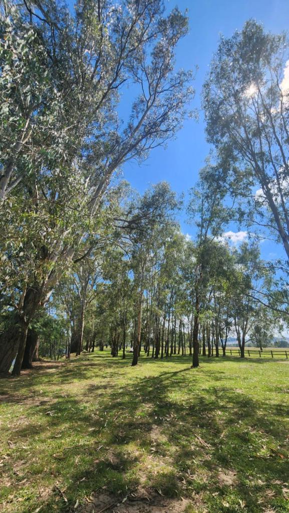 Bahwidgee Lodge - Riverside Retreat photo 3