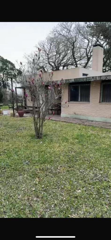 Bien Campestre photo 2
