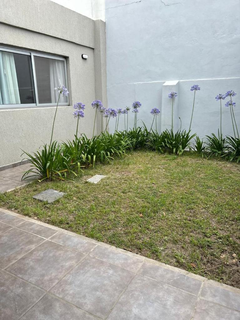 Casa Las Hermanas photo 2