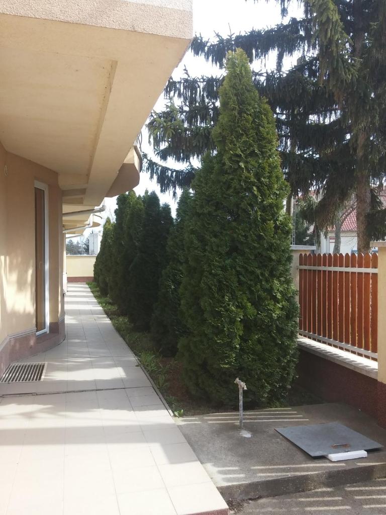 Апартаменты (Апартаменты с 2 спальнями), Alina apartmanok