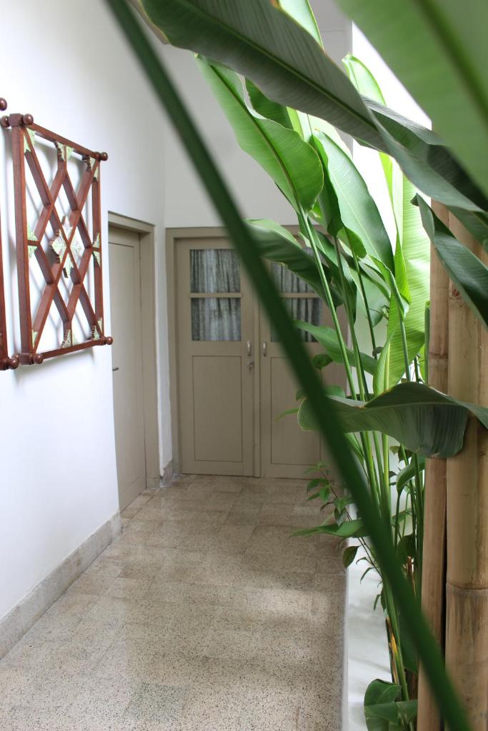 Ijen Haus photo 4