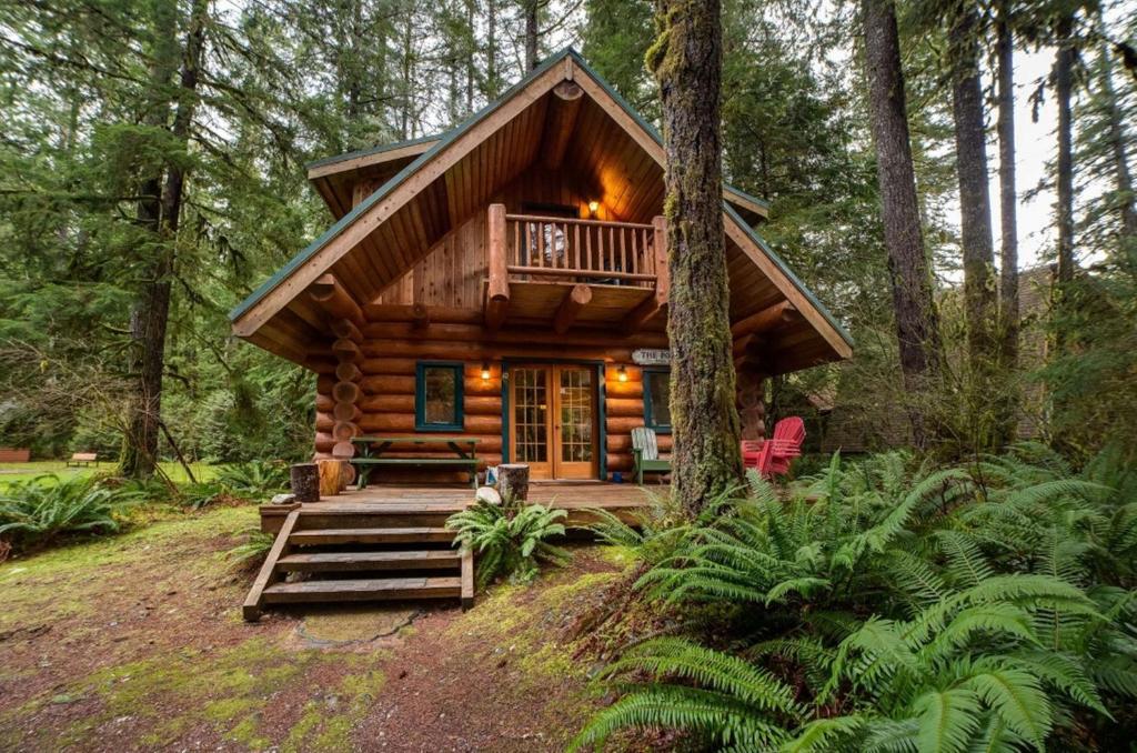 Snowline Cabin 10 - Log Cabin at its Best Free Wi-fi image
