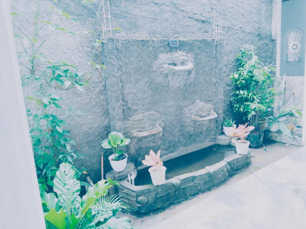 Pendawi Putri Homestay Syariah Borobudur photo 1