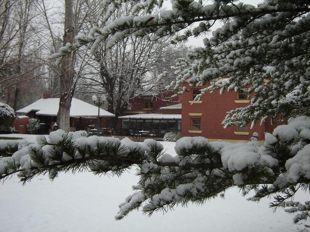 Robles de Besares photo 3