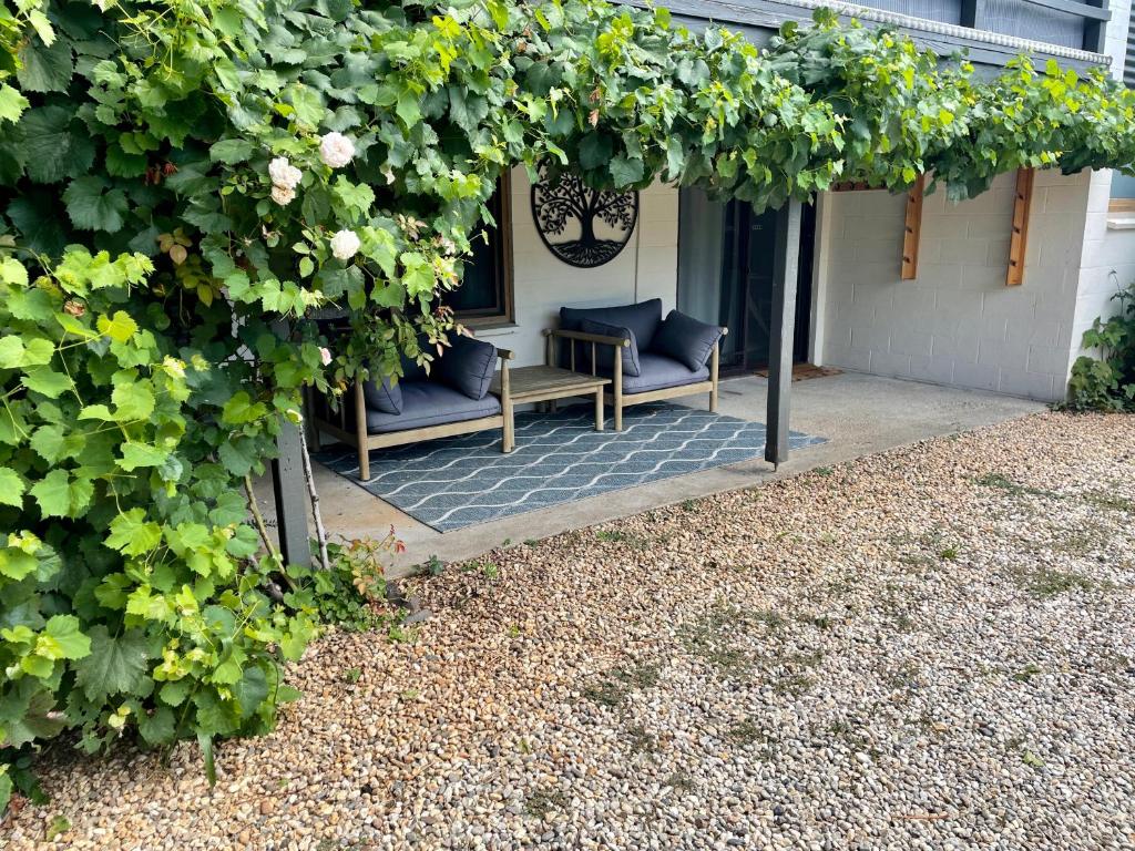 White Rabbit Mountain Guest House photo 3