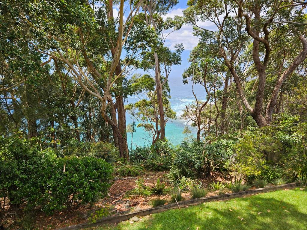Clifftop Views Mollymook photo 2