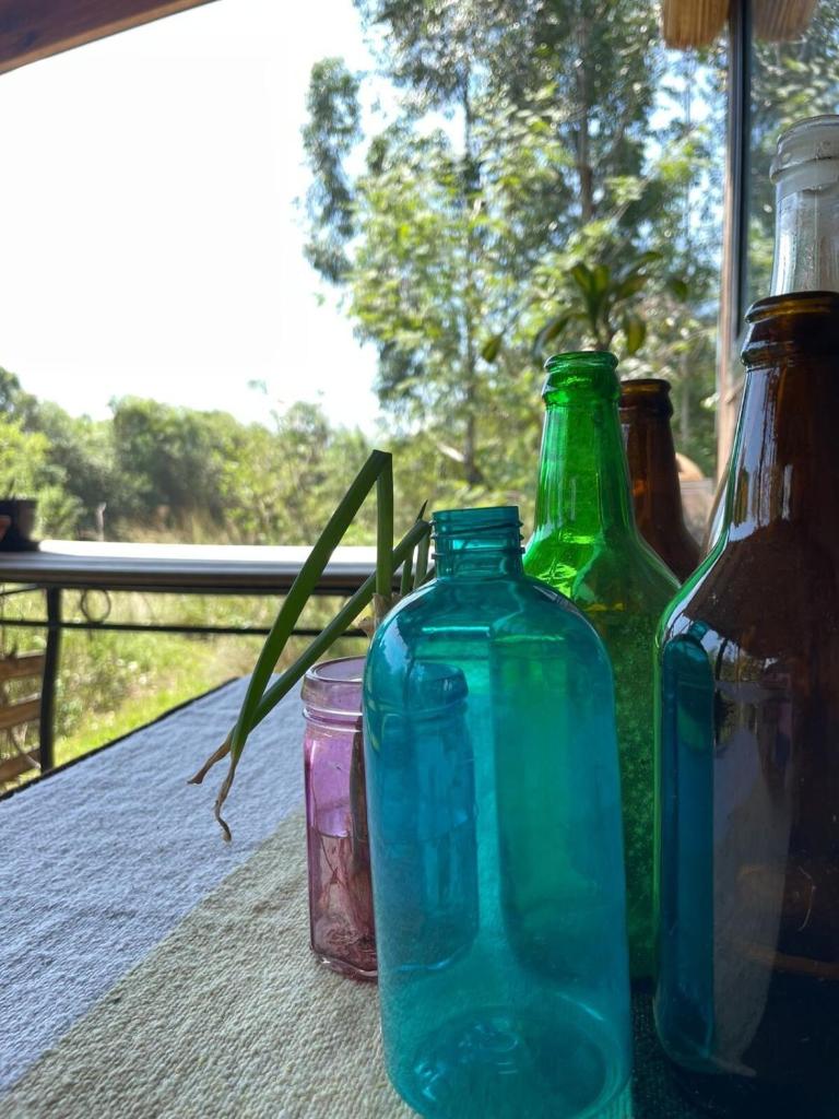 Coruya Wild photo 2