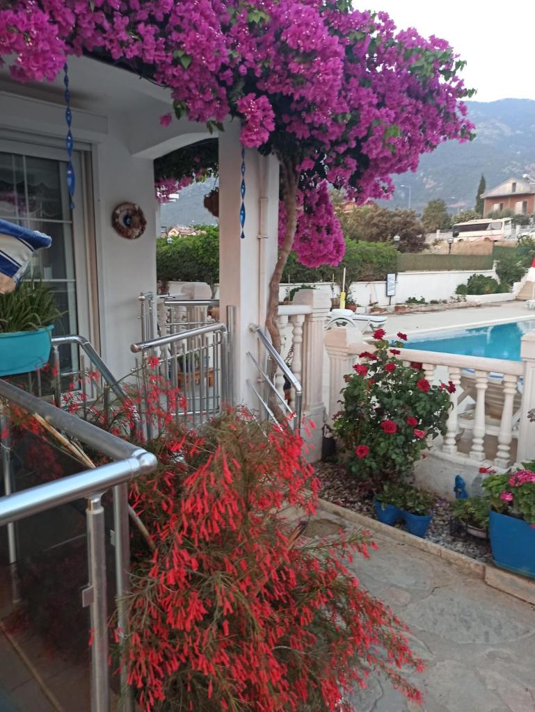 White Villa with Pool , Garden ,Balcony with Amazing panorama - Tap to explore photos