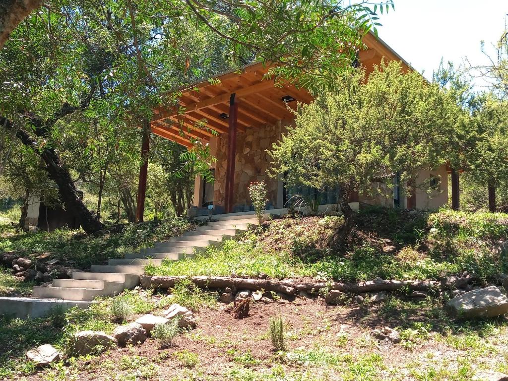 VenTeVeo Chakra de Montaña photo 3