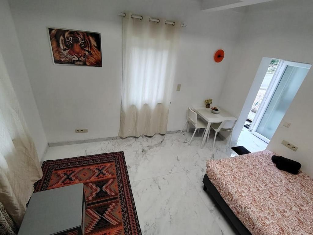 Spacious, warm and cozy studio photo 3