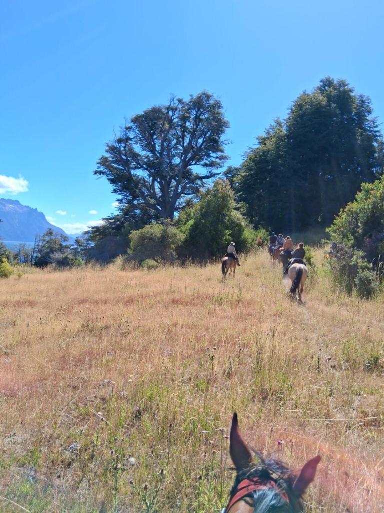 Estancia los Helechos photo 3