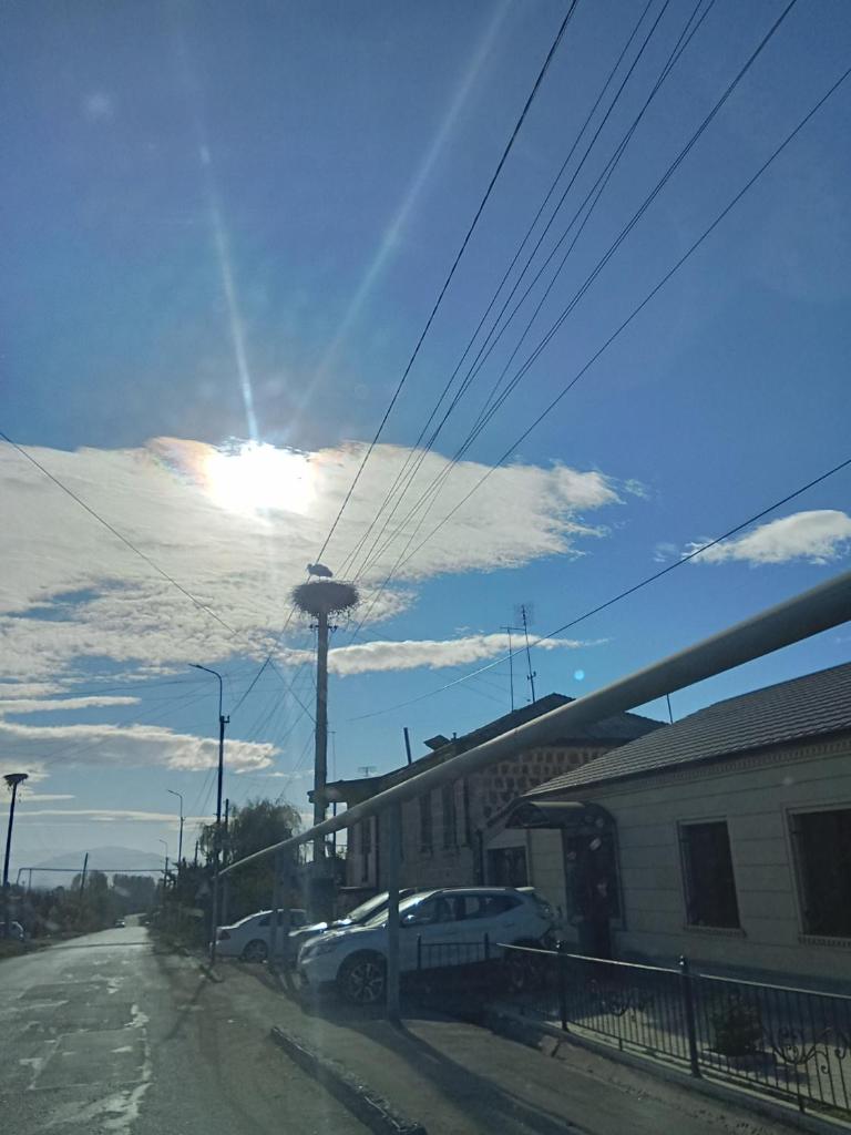 ungal photo 1
