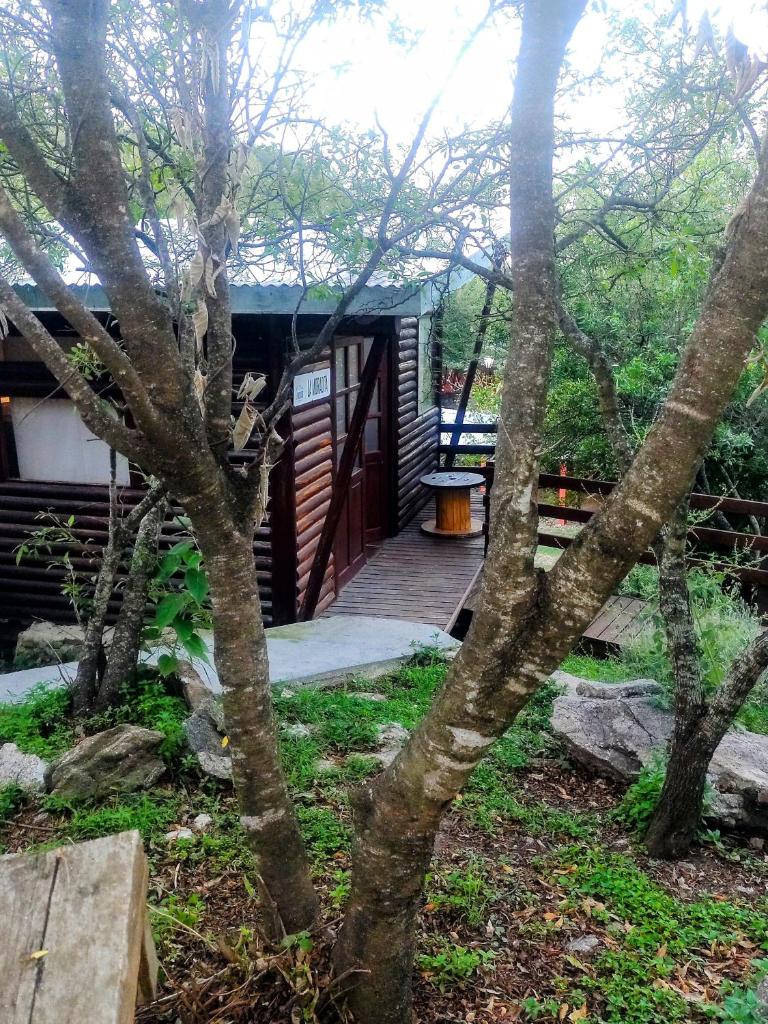 Cabañas LA MORADA photo 2