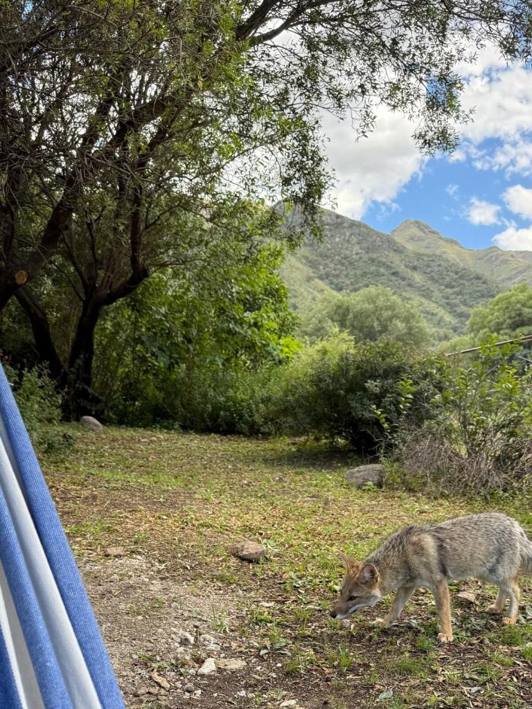 Nomad Base en Country Chumamaya photo 2