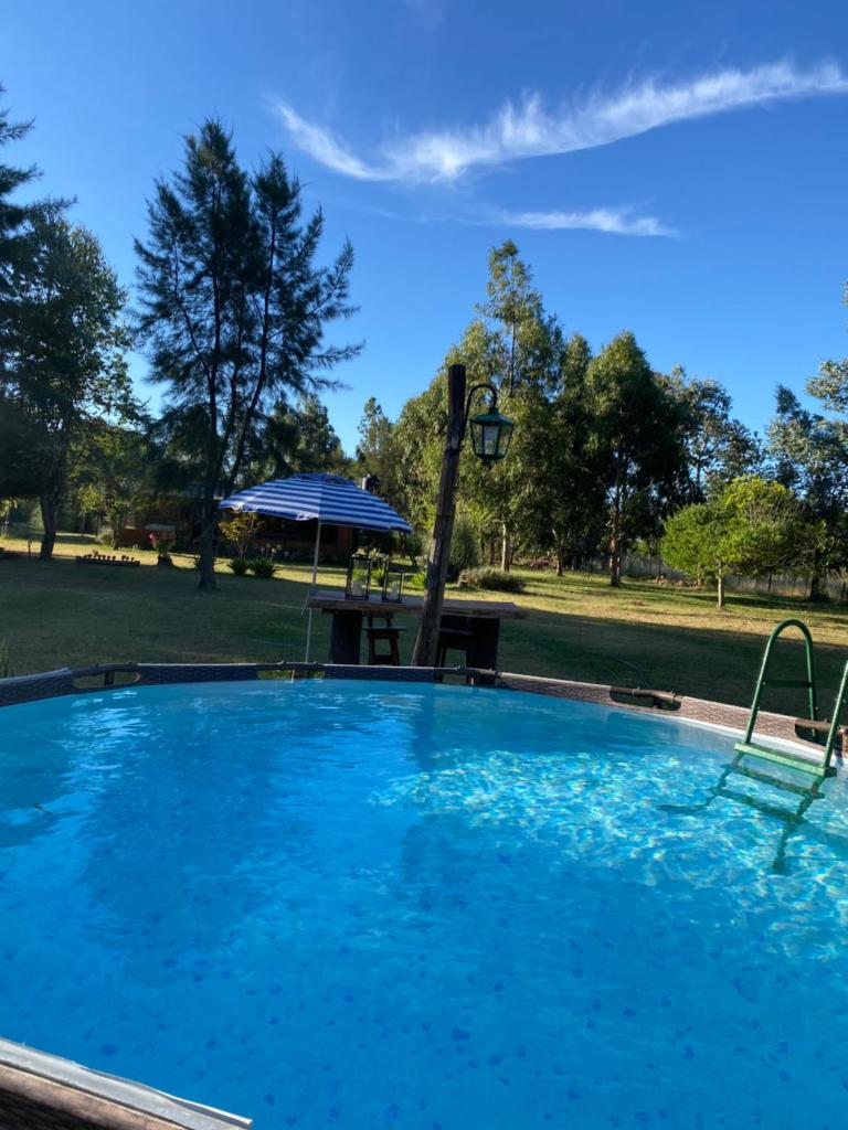 La Alegría photo 3