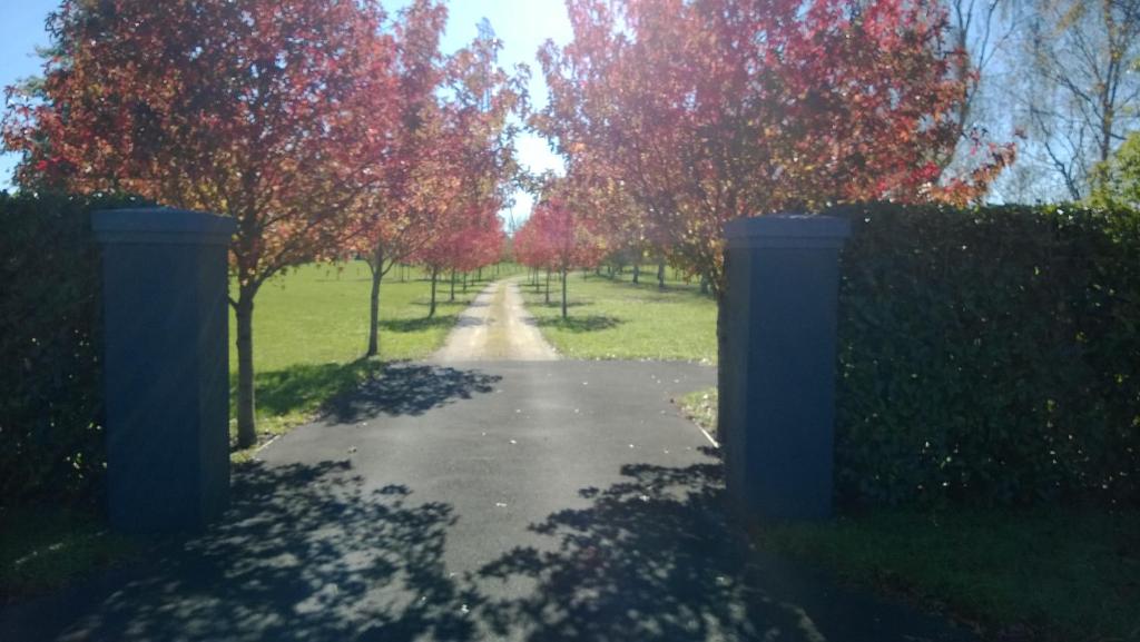 Korbaylen Estate photo 3
