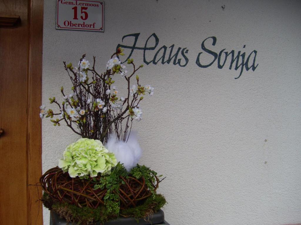 Haus Sonja photo 4