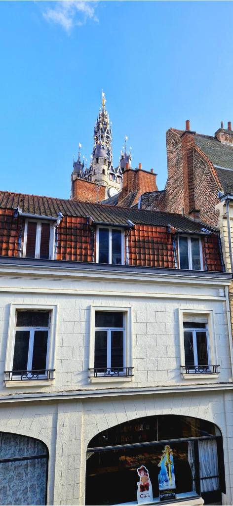 Globe-Rêveur, vue Beffroi & WiFi, Hypercentre, Douai