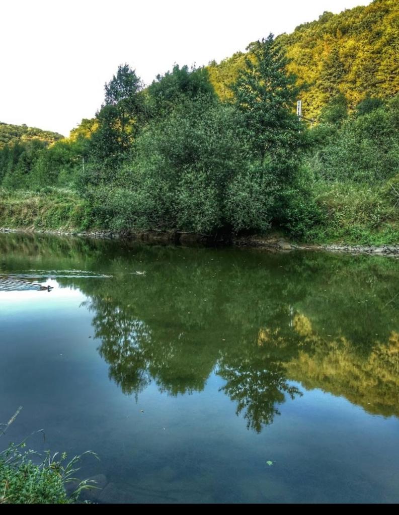 la petite caravane au bord de l eau photo 3