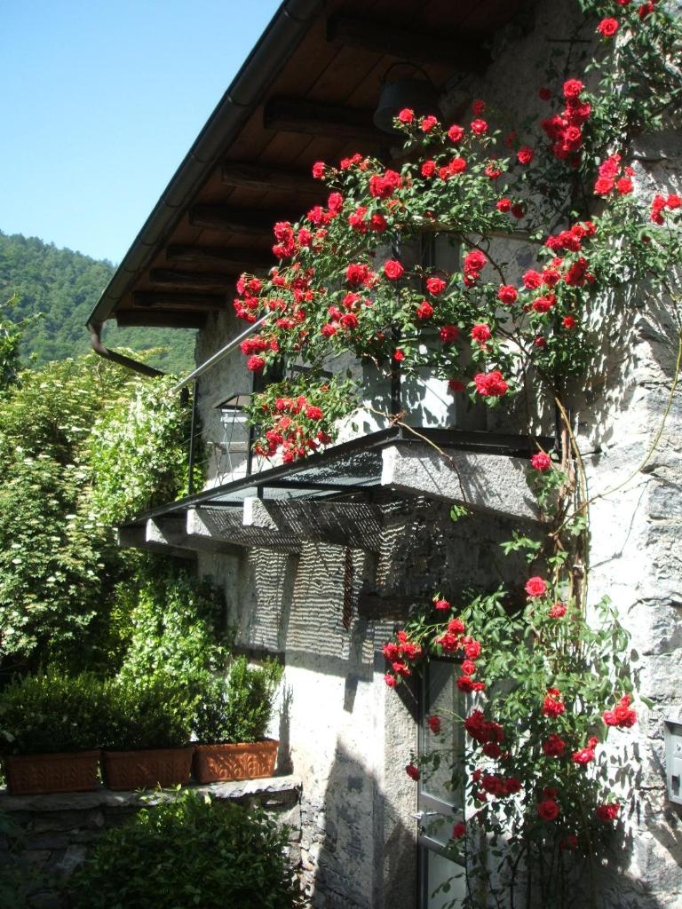 Fienile photo 4