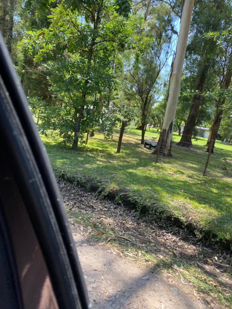 Descanso en el Bosque photo 1