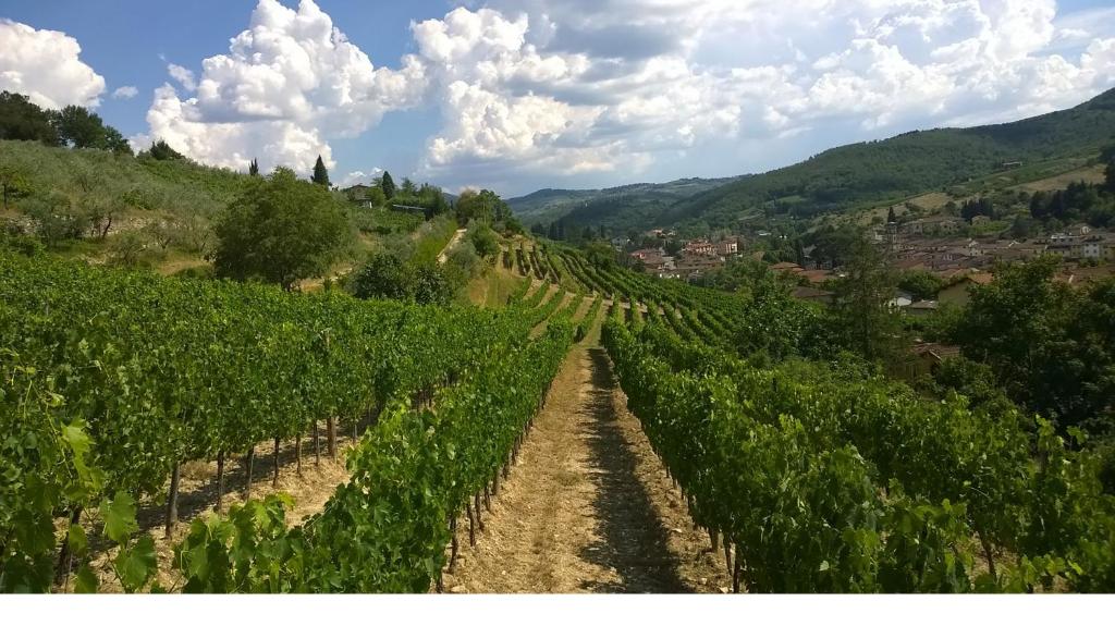 Podere Campriano Winery photo 2