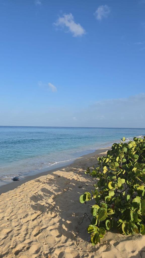 Seashades 2BR 1 full and 1 half bathrooms Condo with pool Close to beach Sleeps 4 photo 1