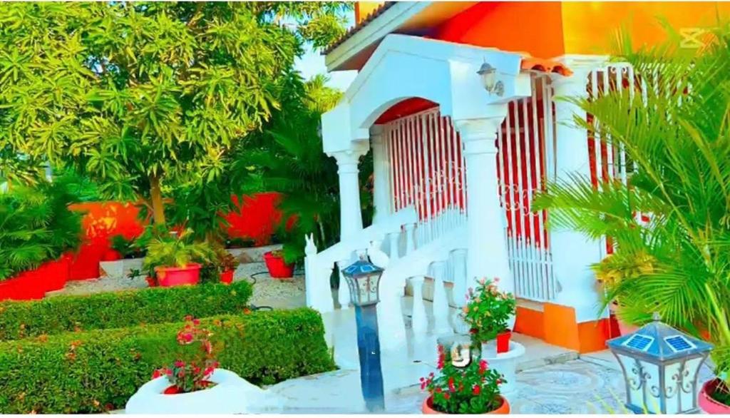 ARUBA COZY Home photo 4