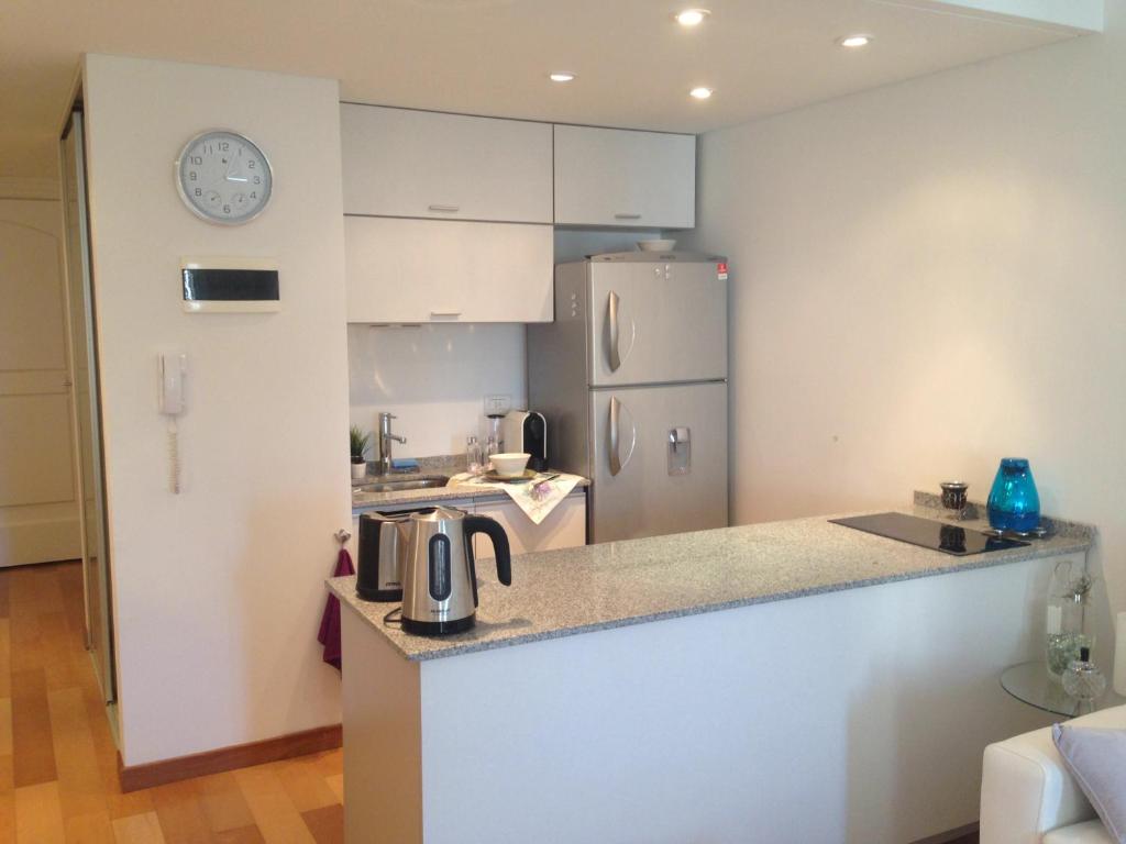 Luxury Apartment Recoleta photo 4