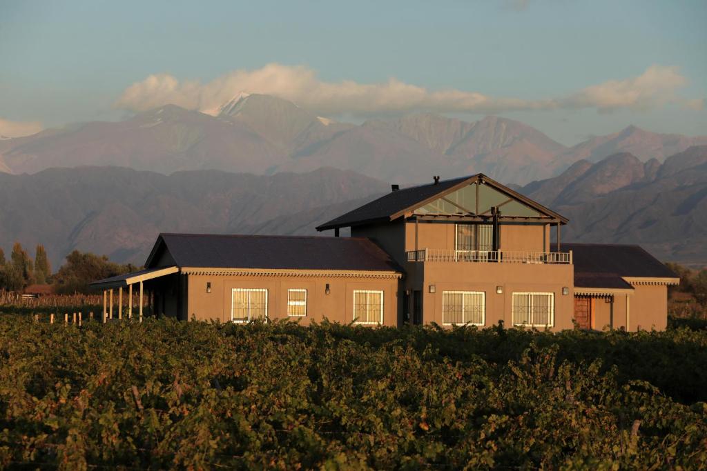 Casa entre viñedo con vista a la Cordillera