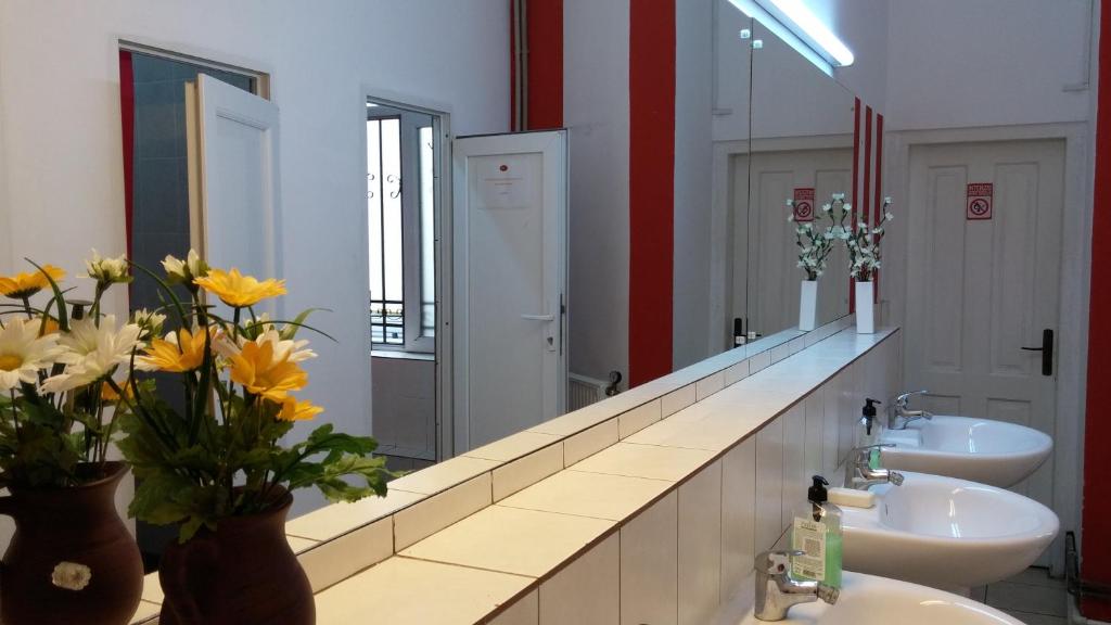 Номер (Односпальная кровать в общем номере с 6 кроватями), Friends Hostel