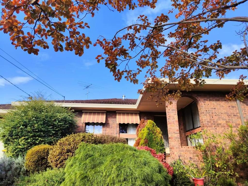 homey space Spacious Four-Bedroom, Free Parking, Family Preferred