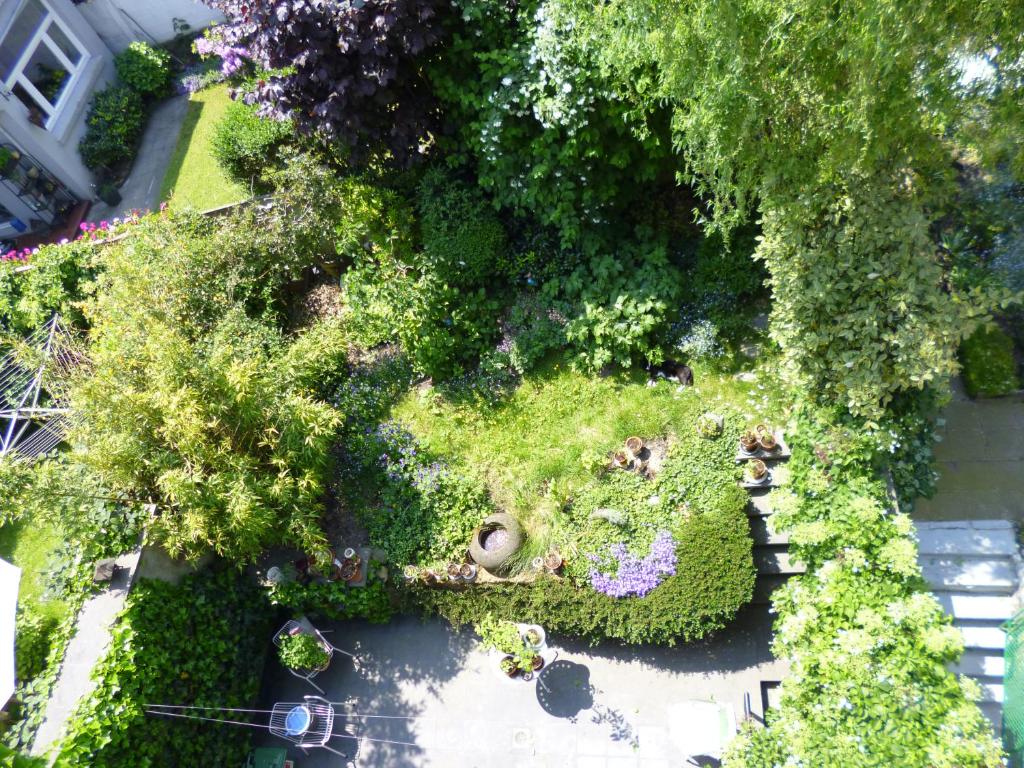 B&B Matin Tranquille photo 3