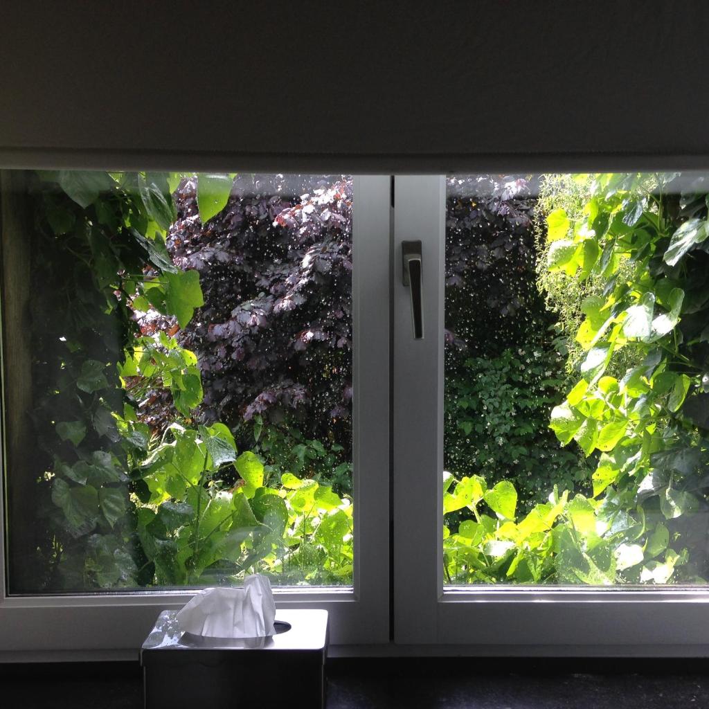 B&B Matin Tranquille photo 1