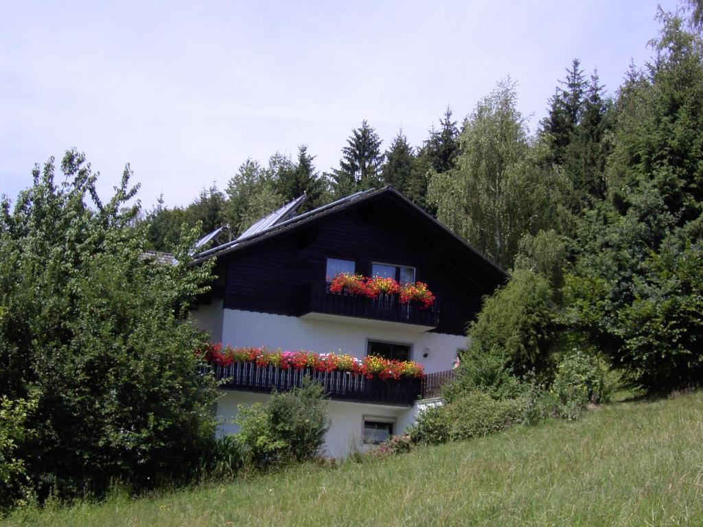 Seidl's Ilztalfewo photo 1