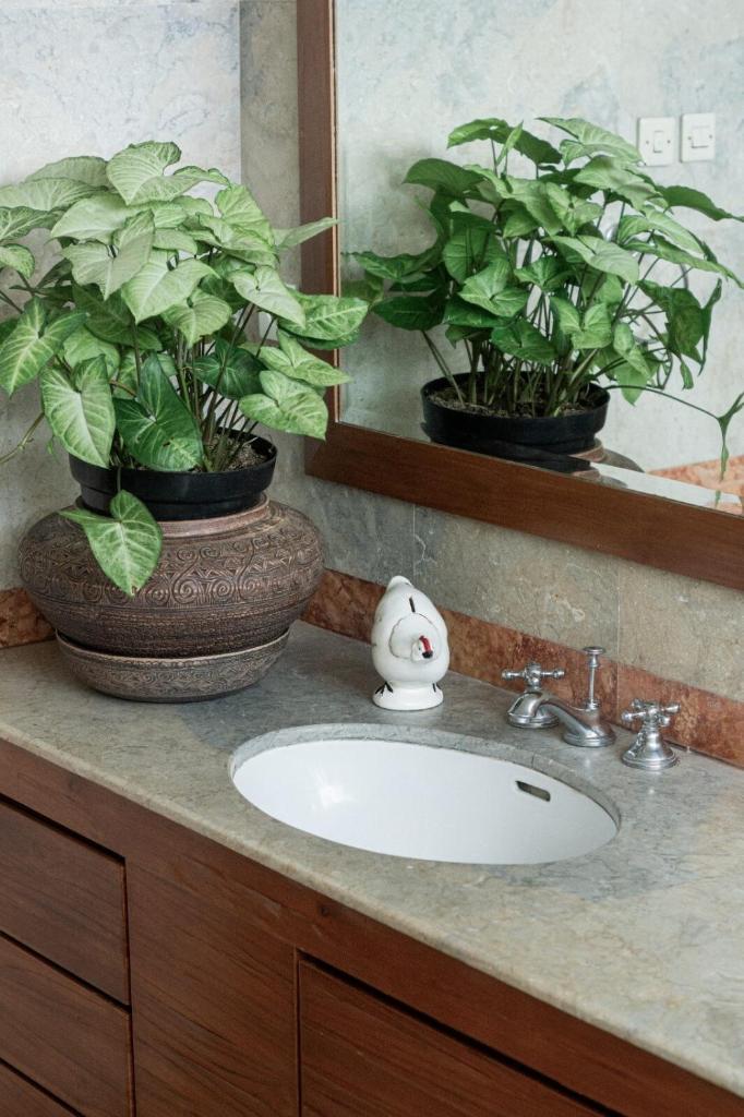 Pasteur Beautiful Luxury Home photo 4